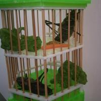 用户7529813147680头像