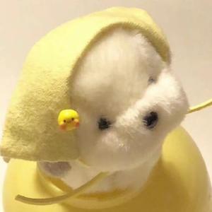 梓晨头像