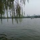 心静53406582头像