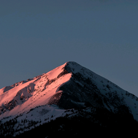 阿薰和他的朋友们头像