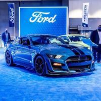 SHELBY1000头像