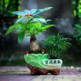 牟家全头像