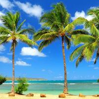 车圈里外事头像