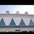 托妮库儿头像
