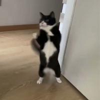 热心艺术家Y5l头像