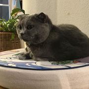 我才是风车车的个人资料头像