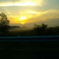 路过蜻蜓402头像