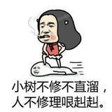 电影推荐1mtq头像