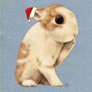 赵利的个人资料头像