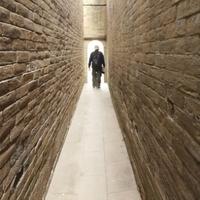 走四方之逸风头像