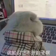 小张92732头像