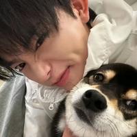 敏锐松鼠wSH头像