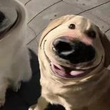 可乐3046775112526头像