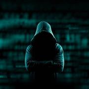 悉尼雨的个人资料头像