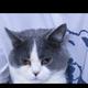 用户1670553058866头像
