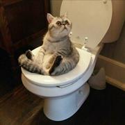 刘雨竹的个人资料头像