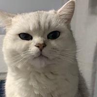 你拿什么感同身受1837头像