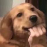 哐哐窍门头像