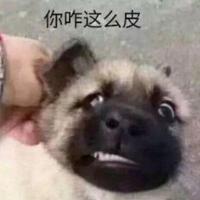 用户3577576379636头像