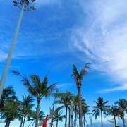 Django526的个人资料头像