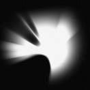 AlPacino的个人资料头像