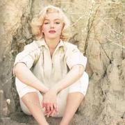 handx的个人资料头像