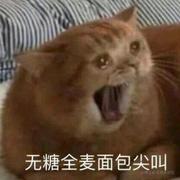 抹茶冰淇淋麻薯的个人资料头像