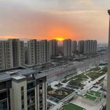 南方玉2021头像