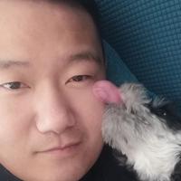 王海平d头像