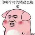 耿乙乐白头像