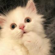 luuuuuuuu的个人资料头像