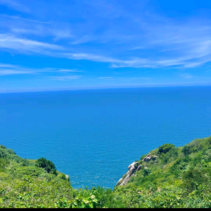 海阔天空头像