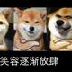 九块腹肌的汤大帅 · 长安欧尚Z6 iDD新能源车主·车龄半年头像