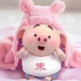 农商行朱秋月头像