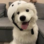 有_雨的个人资料头像