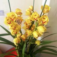 用户8291491964436头像