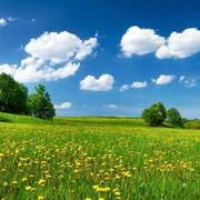 zitaZhai的个人资料头像