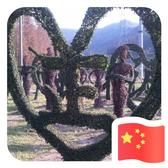 大唐风雲头像