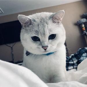 森森.头像