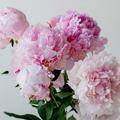 吾是吾我是我头像