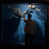 用户4078544230718头像