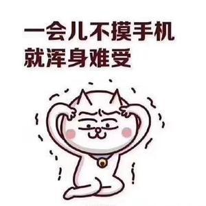 昕姐头像