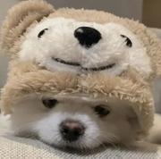 DreamTT的个人资料头像