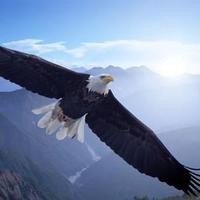 人心可测世事能料头像