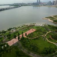 风起云未动466头像