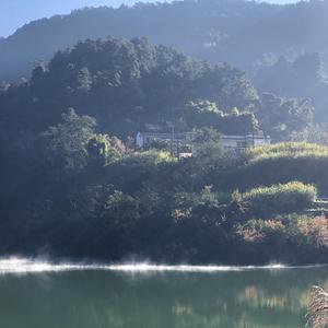 高黎贡山旅游头像