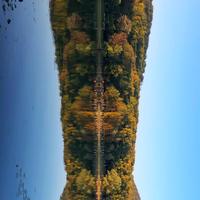 大明白先生头像