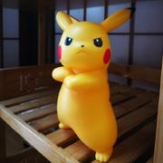 阿竹538的个人资料头像