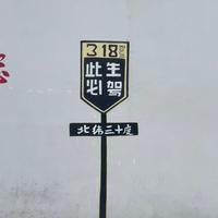 追风少年搬砖仔头像