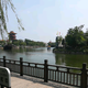 淡淡西湖头像